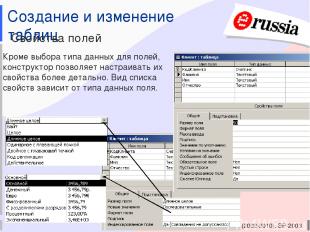 Электронная Россия (2002-2010), ЭР-2003 Создание и изменение таблиц Свойства пол