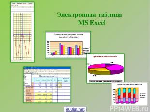 Электронная таблица MS Excel 900igr.net