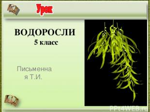 ВОДОРОСЛИ 5 класс Письменная Т.И. http://aida.ucoz.ru