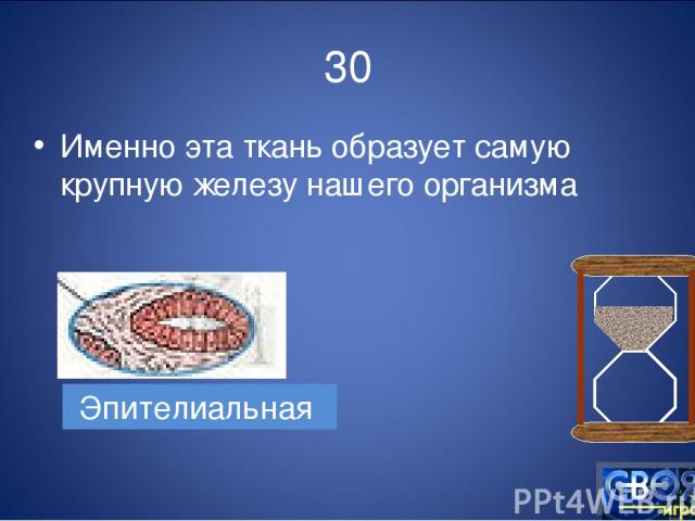 30 Именно эта ткань образует самую крупную железу нашего организма Эпителиальная