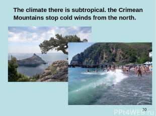 The climate there is subtropical. the Crimean Mountains stop cold winds from the