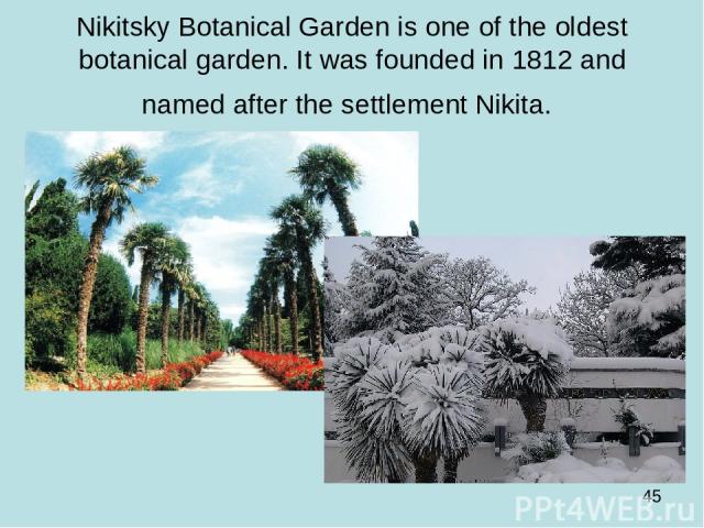Nikitsky Botanical Garden is one of the oldest botanical garden. It was founded in 1812 and named after the settlement Nikita.