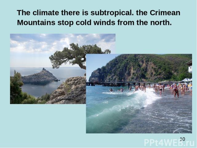 The climate there is subtropical. the Crimean Mountains stop cold winds from the north. 