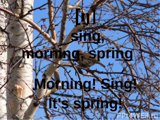 [ŋ] sing, morning, spring Morning! Sing! It’s spring!