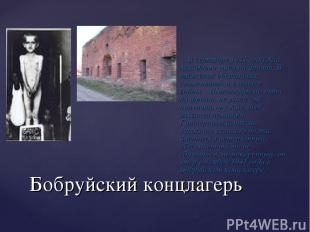 Бобруйский концлагерь В сентябре 1941 года Али Асхадович ушёл на фронт. В тяжёло