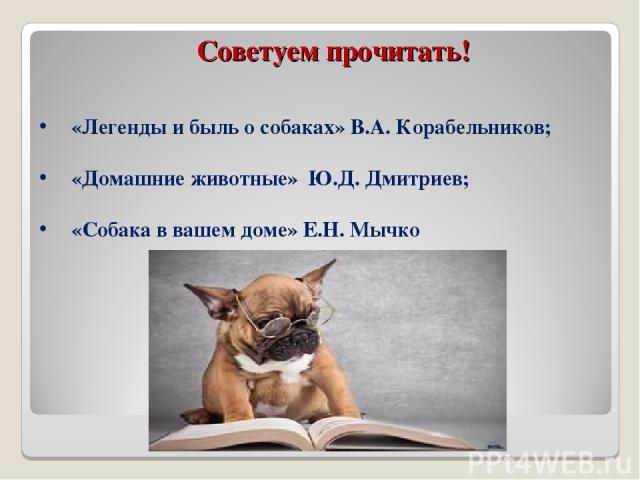 Советуем прочитать! «Легенды и быль о собаках» В.А. Корабельников; «Домашние животные» Ю.Д. Дмитриев; «Собака в вашем доме» Е.Н. Мычко