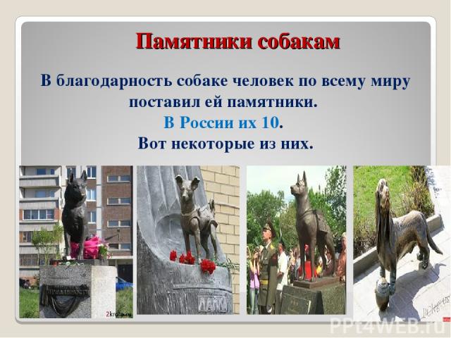 Памятники собакам В благодарность собаке человек по всему миру поставил ей памятники. В России их 10. Вот некоторые из них.