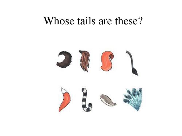 Whose tails are these?
