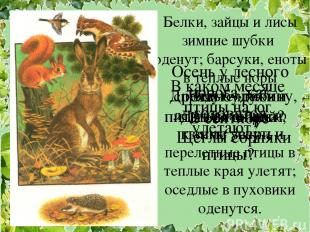 Осень у лесного порога, как готовятся к зиме звери и птицы? Белки, зайцы и лисы