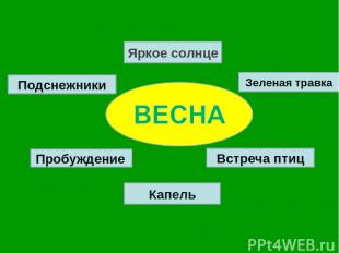 Яркое солнце Пробуждение Капель Подснежники Зеленая травка Встреча птиц Лазарева