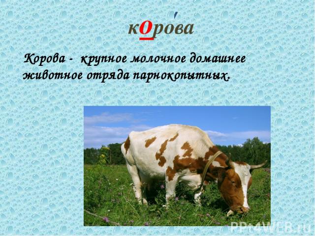 корова Корова - крупное молочное домашнее животное отряда парнокопытных.