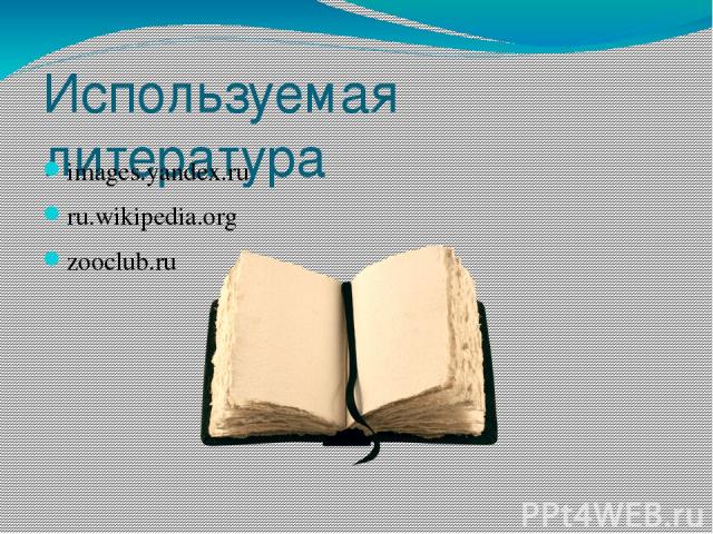 Используемая литература images.yandex.ru ru.wikipedia.org zooclub.ru