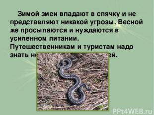 Зимой змеи впадают в спячку и не представляют никакой угрозы. Весной же просыпаю