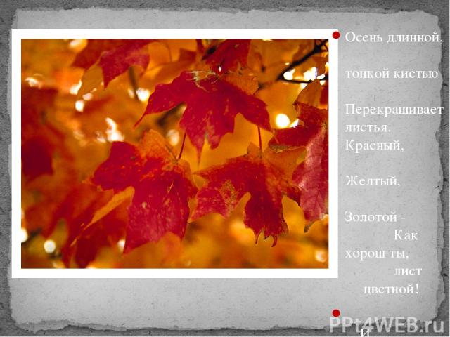 Осень длинной, тонкой кистью Перекрашивает листья. Красный, Желтый, Золотой - Как хорош ты, лист цветной! И. Михайлова