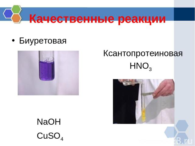 Качественные реакции Биуретовая Ксантопротеиновая HNO3 NaOH CuSO4
