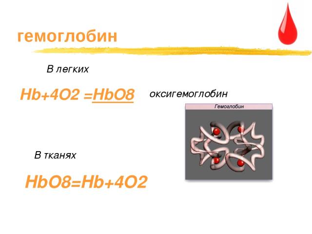 гемоглобин В тканях Hb+4O2 =HbO8 В легких оксигемоглобин HbO8=Hb+4O2
