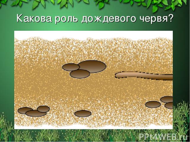 Какова роль дождевого червя? Free template from www.brainybetty.com