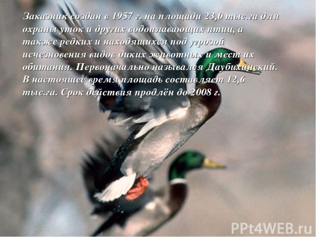 Заказник создан в 1957 г. на площади 23,0 тыс.га для охраны уток и других водоплавающих птиц, а также редких и находящихся под угрозой исчезновения видов диких животных и мест их обитания. Первоначально назывался Даубихинский. В настоящее время площ…