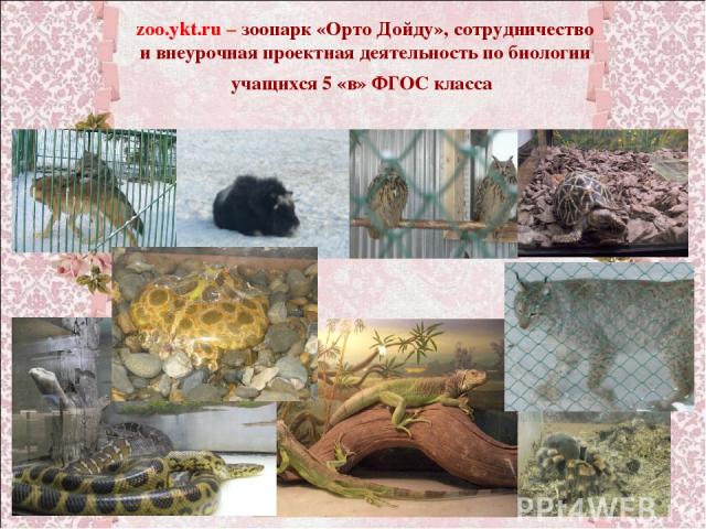 zoo.ykt.ru – зоопарк «Орто Дойду», сотрудничество и внеурочная проектная деятельность по биологии учащихся 5 «в» ФГОС класса