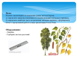 Цель: Изучить закономерности изменения длины листьев березы: а) определить приде