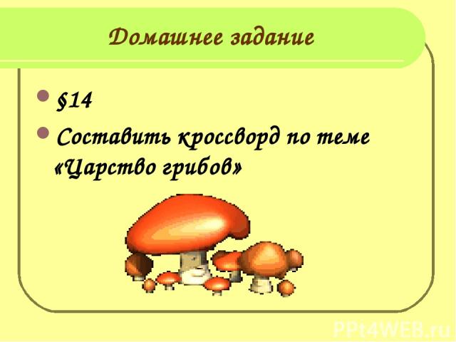 Домашнее задание §14 Составить кроссворд по теме «Царство грибов»