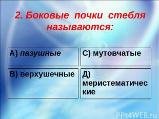 2. Боковые почки стебля называются: А) пазушные С) мутовчатые В) верхушечные Д)