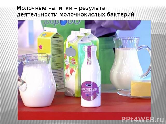 Молочные напитки – результат деятельности молочнокислых бактерий