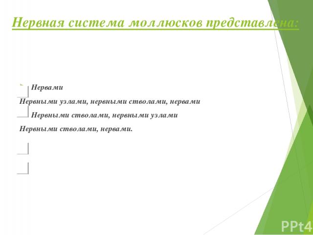 По способу размножения брюхоногие моллюски: Раздельнополые Одни – гермафродиты, другие - раздельнополые. Размножаются бесполым путём Гермафродиты