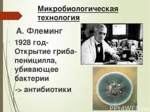 Микробиологическая технология А. Флеминг 1928 год- Открытие гриба-пеницилла, уби