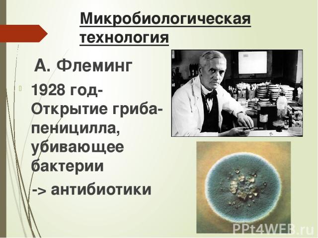 Микробиологическая технология А. Флеминг 1928 год- Открытие гриба-пеницилла, убивающее бактерии -> антибиотики