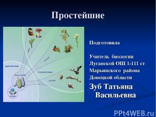 Простейшие Подготовила Учитель биологии Луганской ОШ 1-111 ст Марьинского района