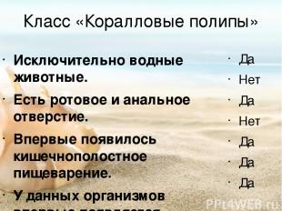 Класс «Коралловые полипы» Исключительно водные животные. Есть ротовое и анальное