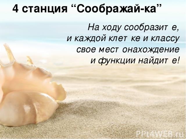 4 станция “Соображай-ка” На ходу сообразите, и каждой клетке и классу свое местонахождение и функции найдите!