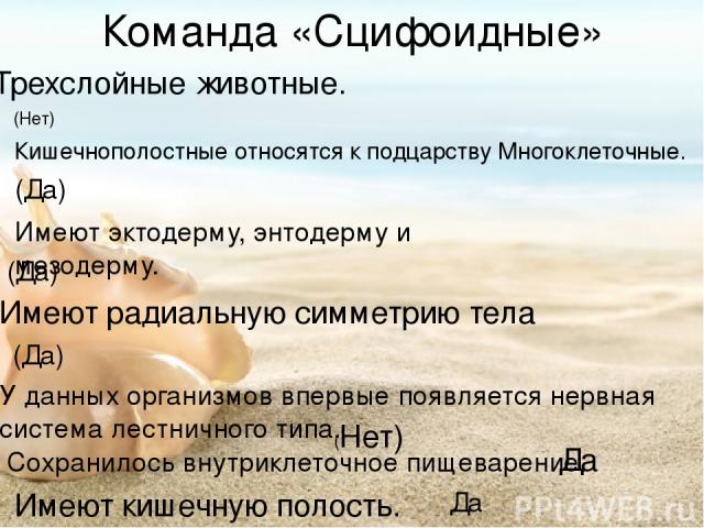 Команда «Сцифоидные» Трехслойные животные.  (Нет) Кишечнополостные относятся к подцарству Многоклеточные. (Да) Имеют эктодерму, энтодерму и мезодерму. (Да) Имеют радиальную симметрию тела  (Да) У данных организмов впервые появляется нервная система …