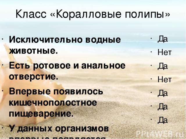 Класс «Коралловые полипы» Исключительно водные животные. Есть ротовое и анальное отверстие. Впервые появилось кишечнополостное пищеварение. У данных организмов впервые появляется выделительная система. Характерно наличие стрекательных клеток. Среди …