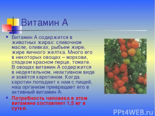 Витамин А Витамин А содержится в животных жирах: сливочном масле, оливках, рыбье