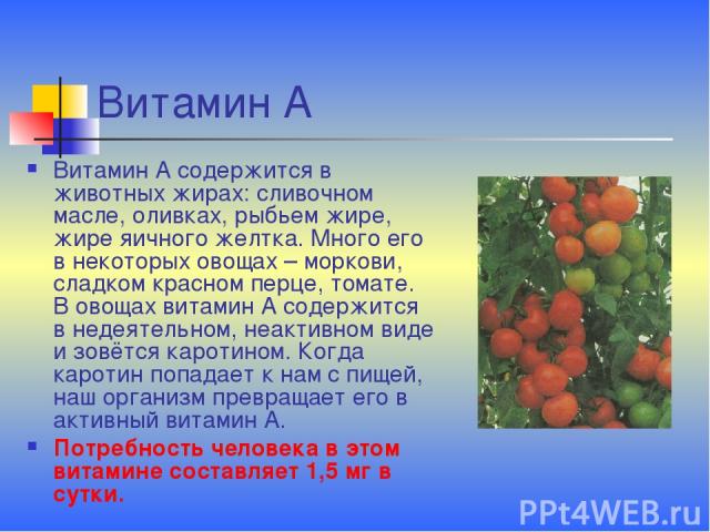 Витамин А Витамин А содержится в животных жирах: сливочном масле, оливках, рыбьем жире, жире яичного желтка. Много его в некоторых овощах – моркови, сладком красном перце, томате. В овощах витамин А содержится в недеятельном, неактивном виде и зовёт…