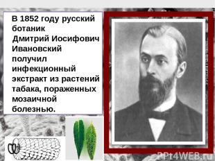 В 1852 году русский ботаник Дмитрий Иосифович Ивановский получил инфекционный эк