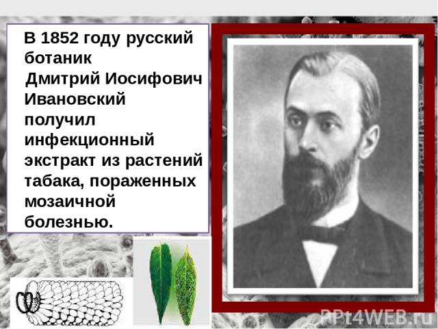 В 1852 году русский ботаник Дмитрий Иосифович Ивановский получил инфекционный экстракт из растений табака, пораженных мозаичной болезнью.