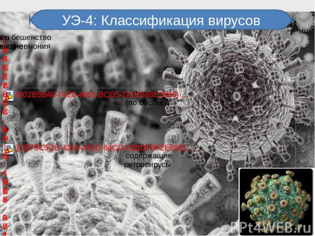 УЭ-4: Классификация вирусов