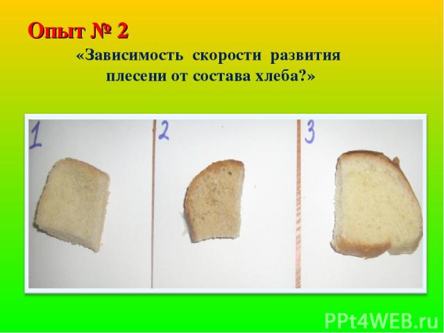 Опыт № 2 «Зависимость скорости развития плесени от состава хлеба?»