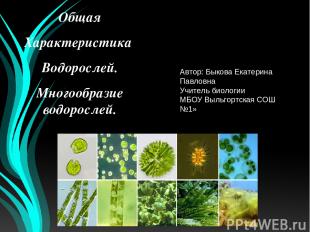 Общая Характеристика Водорослей. Многообразие водорослей. Автор: Быкова Екатерин