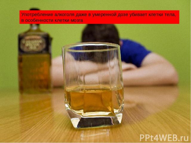 Употребление алкоголя даже в умеренной дозе убивает клетки тела, в особенности клетки мозга