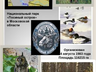 Национальный парк «Лосиный остров» в Московской области Организован 24 августа 1