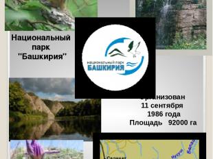 Национальный парк "Башкирия" Организован 11 сентября 1986 года Площадь 92000 га