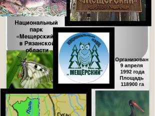 Национальный парк «Мещерский» в Рязанской области Организован 9 апреля 1992 года