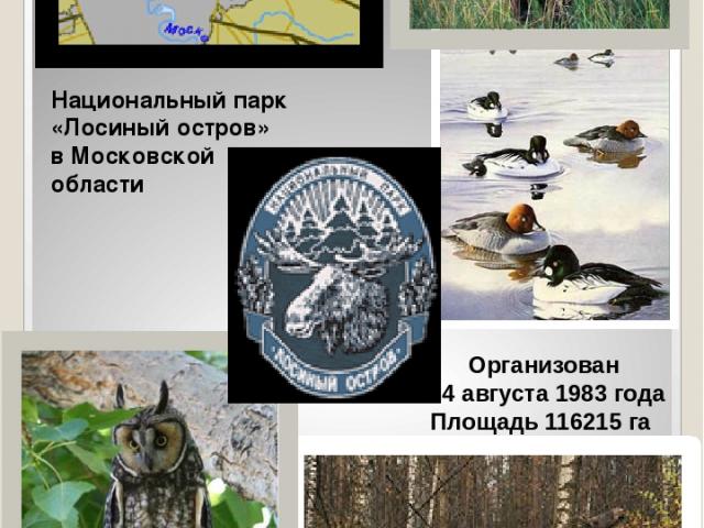 Национальный парк «Лосиный остров» в Московской области Организован 24 августа 1983 года Площадь 116215 га