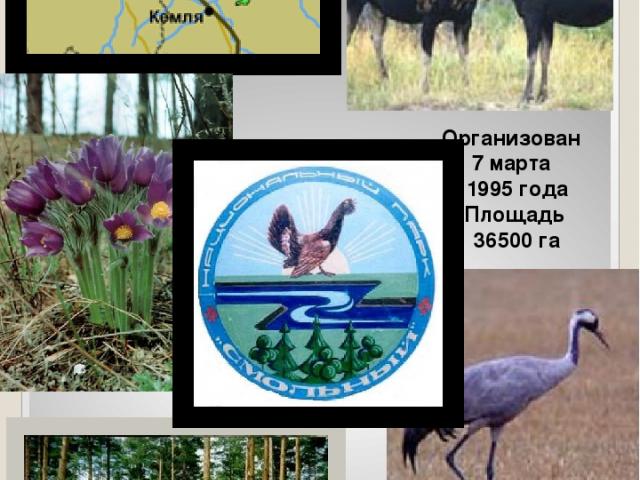 Организован 7 марта 1995 года Площадь 36500 га Национальный парк «Смольный» в Мордовии