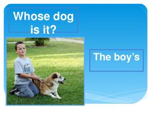 Whose dog is it? The boy’s