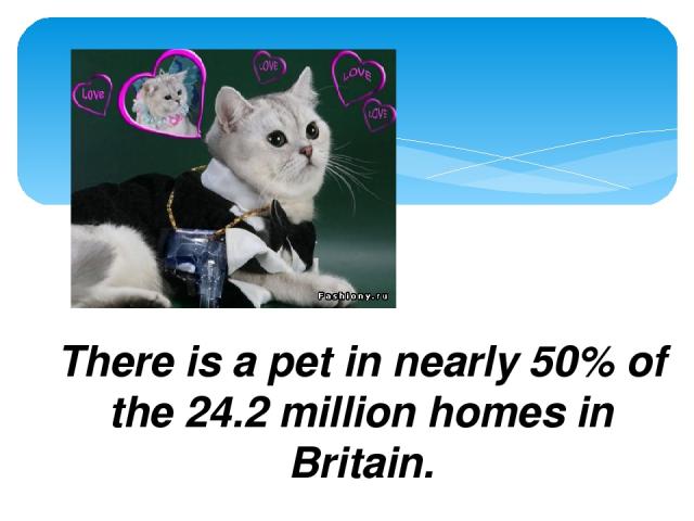 Fact File There is a pet in nearly 50% of the 24.2 million homes in Britain.